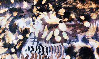 Exploring Ink and Bleach | The Guildford Institute