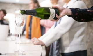 Vineyard Safari Tour & Tasting at Wiston