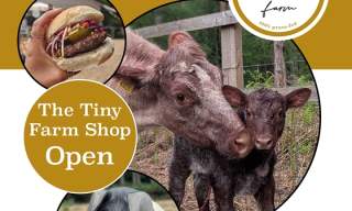 Slow Grown Farm Tour + BBQ