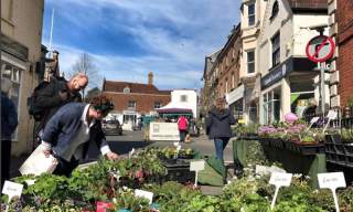 Petworth Farmers' Market