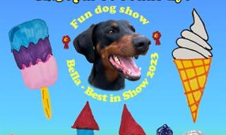 St Johns Village Fete and Fun Dog Show