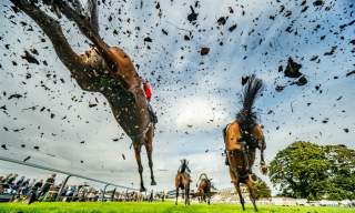 Fontwell Park Family Festival Raceday