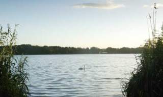 Frensham Great Pond