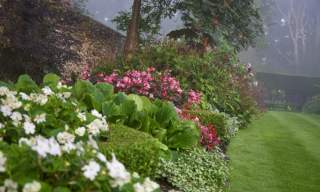 National Garden Scheme: The Old Vicarage Washington Open Garden