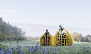 Goodwood Art Foundation Summer Programme