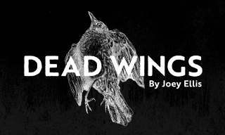 Dead Wings | Guildford School of Acting