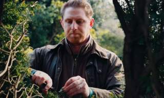 Gardener's tour with Head Gardener Jack Worthy