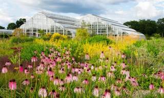 RHS Garden Wisley