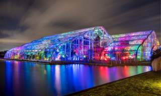 Christmas Glow at RHS Garden Wisley