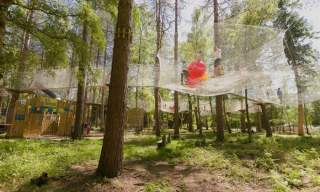 Go Ape Alice Holt