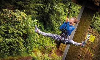 Go Ape Alice Holt