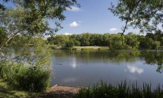 Goldsworth Park