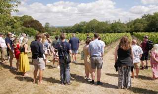 Greyfriars Vineyard