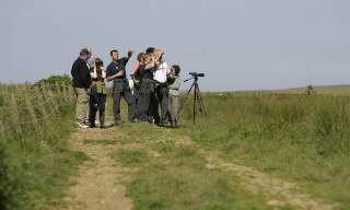 North Wall Migration Magic | RSPB Pagham Harbour Reserve