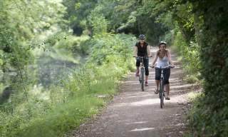 Horsell Common