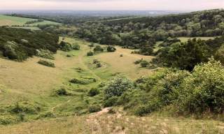 Cycle Route: Kingley Vale (10 miles, Southern eBike Rentals)