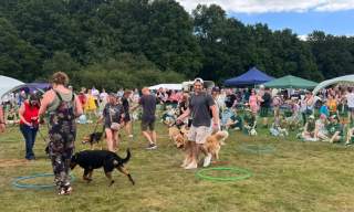 St Johns Village Fete and Fun Dog Show