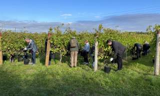 Tinwood Estate Harvest Experience