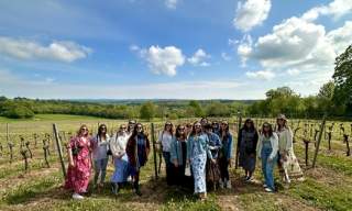 Vine & Country Wine Tours