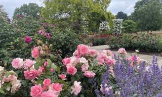 RHS Garden Wisley