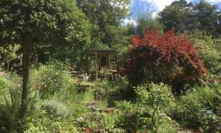 The National Garden Scheme: 1 Pest Cottage, Midhurst Open Garden