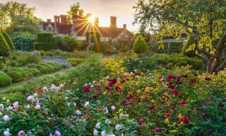 Borde Hill Garden
