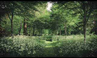 Goodwood Art Foundation | Rachel Whiteread