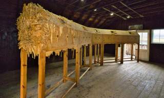 Last Night For Ever | Winkworth Arboretum National Trust