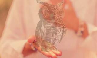 Willow & Wellbeing "Little Owl - awakening your innner wisdom'" | Hedges and Hurdles