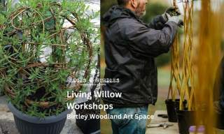 Living Willow Workshops | Hedges & Hurdles