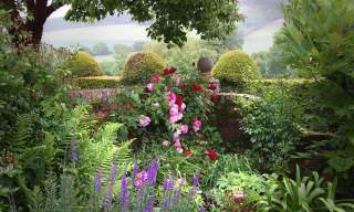 The National Garden Scheme: Lordington House: Open Garden