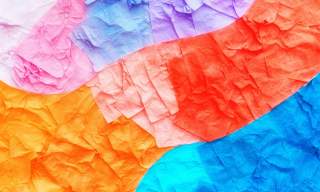 Make your own Tactile Animal