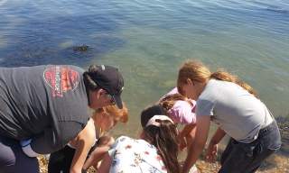 Children's Marine Ecology Club