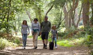 Free guided wildlife walks of Hindhead Commons | Hindhead Commons and the Devil’s Punch Bowl