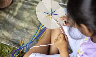 Winkworth Wild Crafts