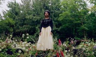 Nabihah Iqbal Live Performances