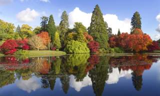 Sheffield Park and Garden