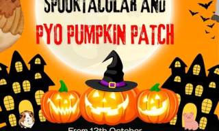 Northlands Farm Halloween Spooktacular & PYO Pumpkins