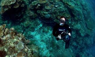 Is it too late to save the Ocean? Talk by David Jones