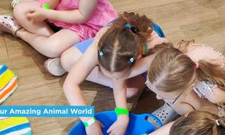 Our Amazing Animal World