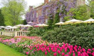 Pashley Manor Gardens