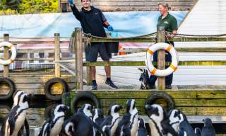 Birdworld