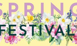 Petworth House & Park Spring Festival
