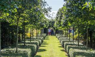 The National Garden Scheme: Garden Open Day: Parsonage Farm Kirdford