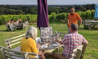 Beacon Down Vineyard