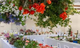Mundham & District Gala and Flower Show