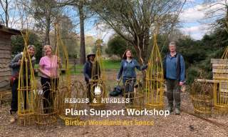 Plant Support Workshop - 20 March | Hedges and Hurdles