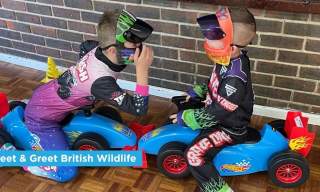 Racing Cars, Mosnter Trucks & Ramps!