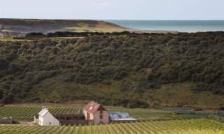 Rathfinny Wine Estate - Flint Barns B&B and Cottage
