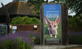 Raystede Centre for Animal Welfare